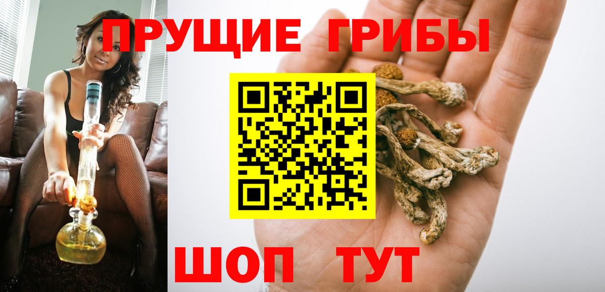 Галлюциногенные грибы мицелий  Вход с VPN  Сунжа 